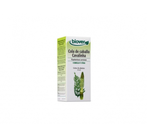 Biover Equisetum Arvense...