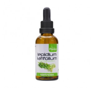 Artesania Agricola Lepidium...
