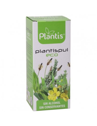 Artesania Agricola Plantispul Eco S/A...