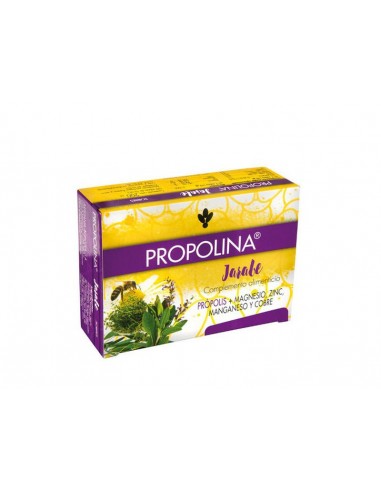 Artesania Agricola Propolina 20 Sobres