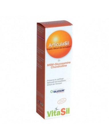 Vitasil Articulasil Msm Gel 100ml