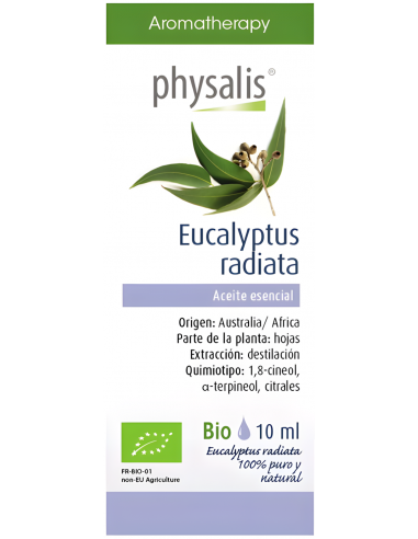 Physalis-Esencia Eucalipto Radiata...
