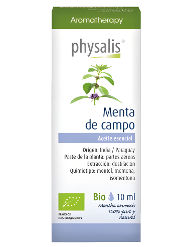 Physalis-Esencia Hierbabuena Menta De...