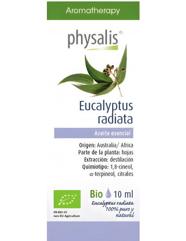 Physalis-Esencia Eucalipto Globulus...