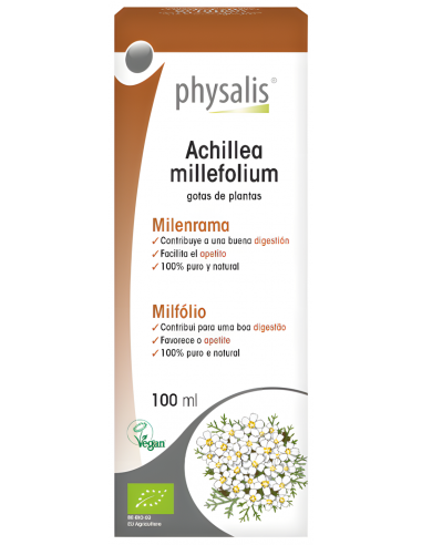 Physalis-Achillea Millefolium...