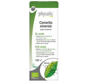 Physalis-Camelia Sinensis...