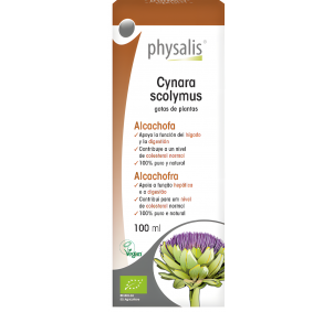 Physalis-Cynara...
