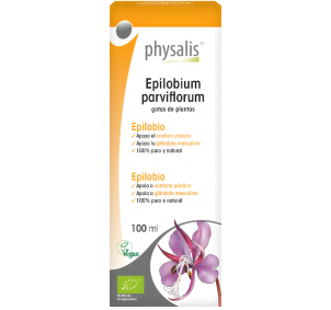 Physalis-Epilobium...