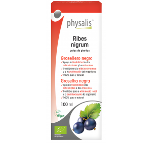 Physalis-Ribes...