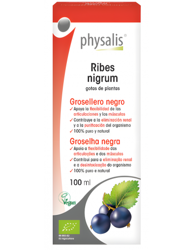 Physalis-Ribes N.(Grosellero...