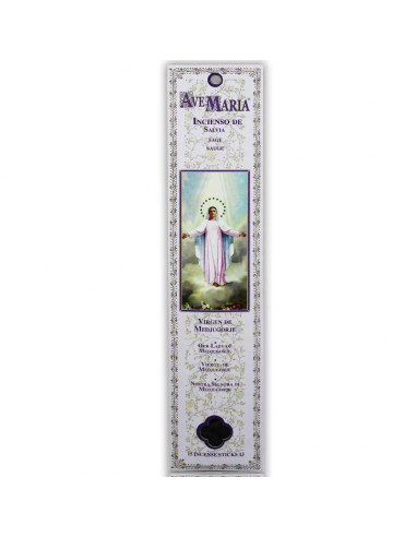 Radhe Shyam Avemaria-Virgen...
