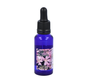 Phytovit Achicoria...