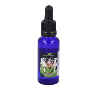 Phytovit Madreselva...