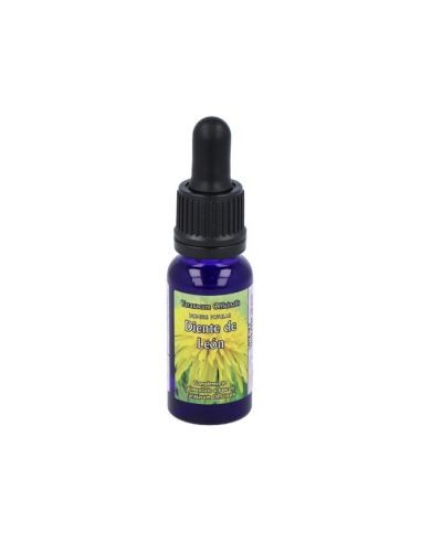 Phytovit Diente Leon...