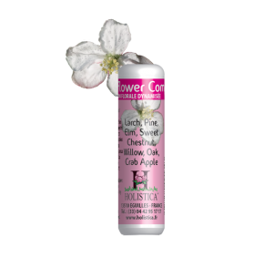 Phytovit Desesperacion (8)...
