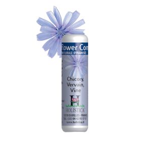 Phytovit Inquietud Projimo...