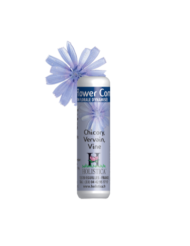 Phytovit Inquietud Projimo (6) Flower...