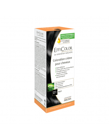 Ineldea Efficolor Negro Nº1 Tinte 1...