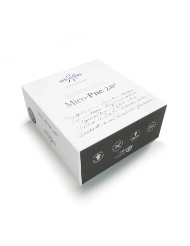 Hifas de Terra Mico-Pne 2.0