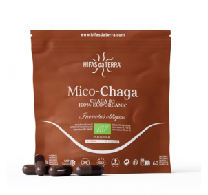 Hifas de Terra...