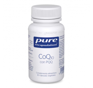 Pure Encapsulation Coq10...