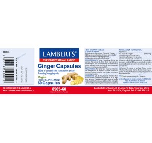 Lamberts Jenjibre 60 Cápsulas 2