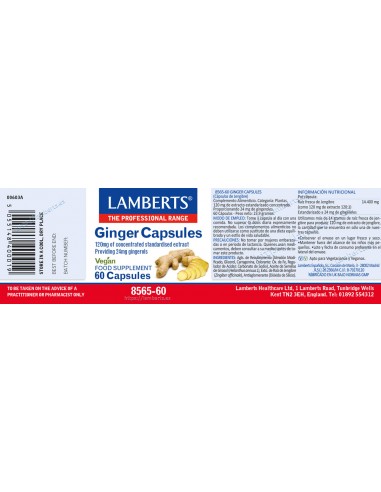 Lamberts Jenjibre 60 Cápsulas