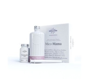 Hifas de Terra Mico Mama 2.0