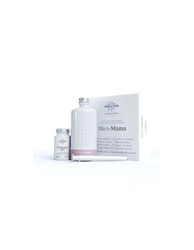 Hifas de Terra Mico Mama 2.0