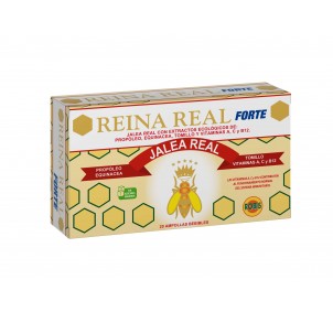 Robis Reina Real Forte 20...