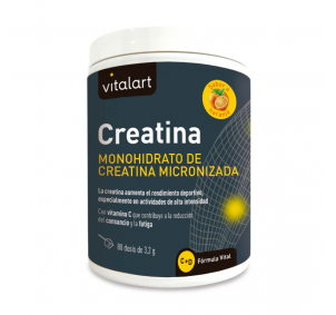 Vitalart Creatina 256gr