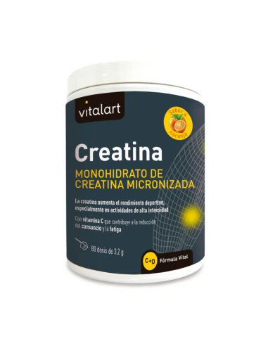 Vitalart Creatina 256gr