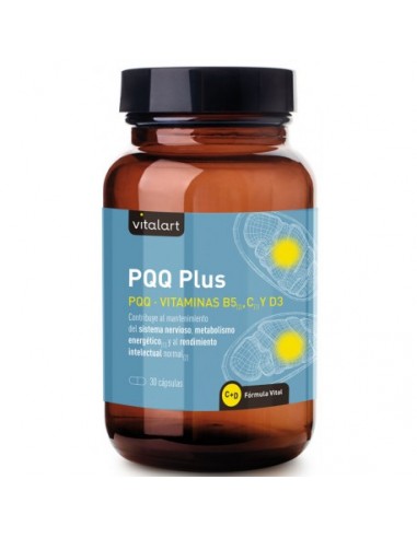Vitalart PQQ Plus 30 Cápsulas
