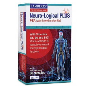 Lamberts Neuro - Logical...