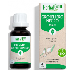 Herbalgem Grosellero Negro...