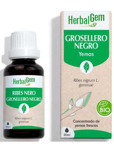 Herbalgem Grosellero Negro Bio 30ml