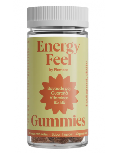 Plameca Energy Feel 60 Gominolas