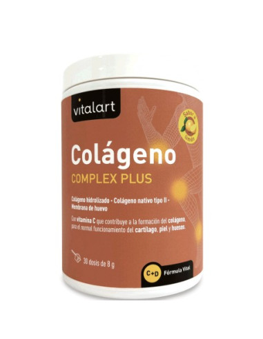 Vitalart Colageno Complex Plus 240gr