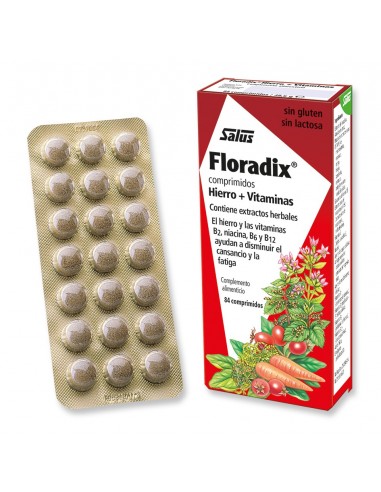 Salus Floradix Hierro + Vitaminas 84...