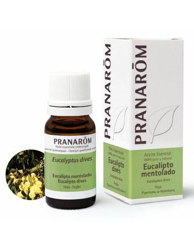 Pranarom Aceite Esencial Eucalipto...