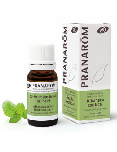Pranarom Aceite Esencial Albahaca...