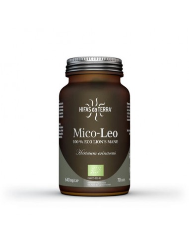 Hifas de Terra Mico Leo Melena de...