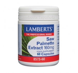 Lamberts Saw Palmetto...