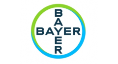 Bayer